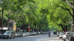 Dự báo thời tiết hôm nay 24/3: Miền Bắc sáng sớm có mưa và sương mù, trưa chiều trời hửng nắng